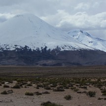 The twin volcanos Parinacota and Pomerape seen from the Bolivan / Chilen border at Paso Tambo Quemado